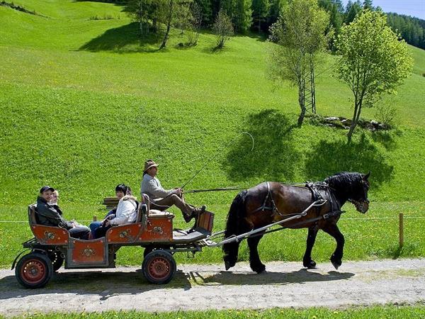 Foto für Pferdekutschenfahrt mit Besuch der Tiere beim Obergruberhof